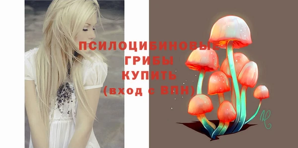 бошки Кинешма