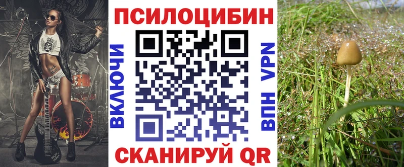 Купить закладки  Тбилисская  Галлюциногенные грибы GOLDEN TEACHER 